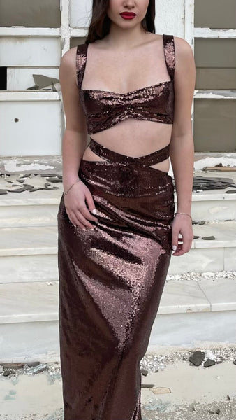 Brown Sequin Top & Skirt