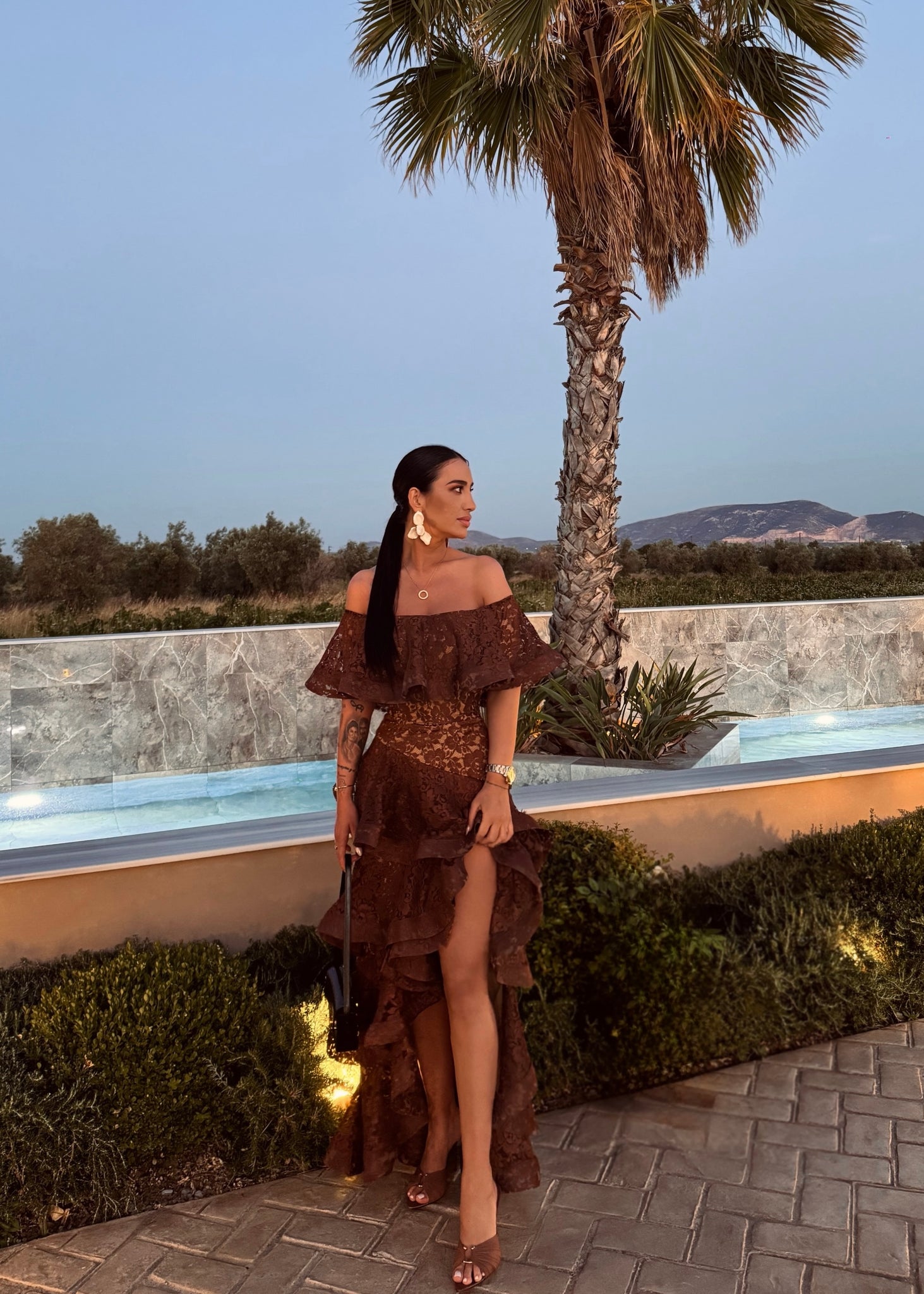 Chocolate Brown Lace Dress
