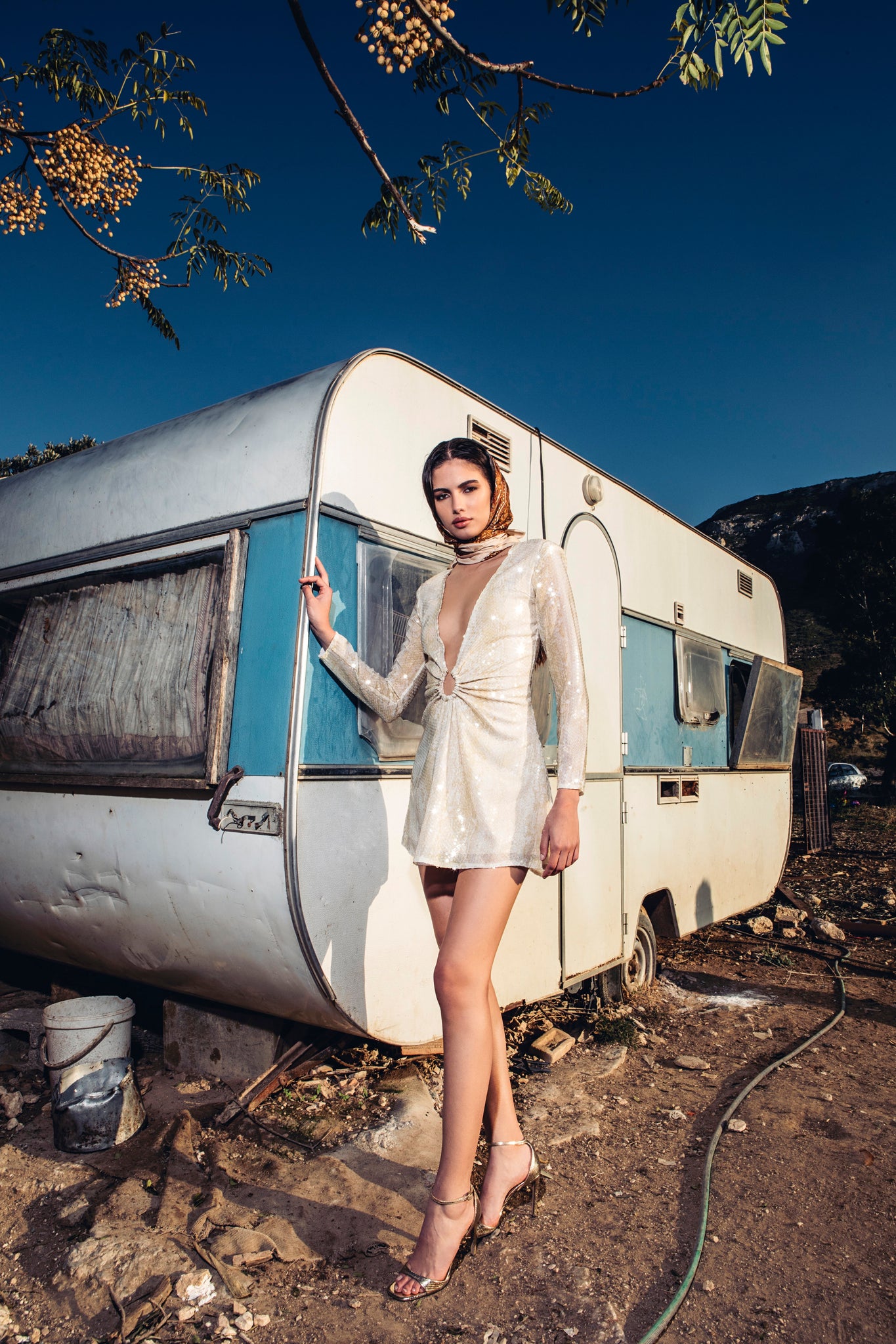 Beige Snake Sequin Dress